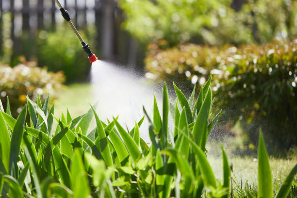 24/7 Emergency Termite Control experts in Stephenville, TX