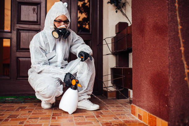 Reliable Termite Control contractor in Stephenville, TX by Nex Pest Control